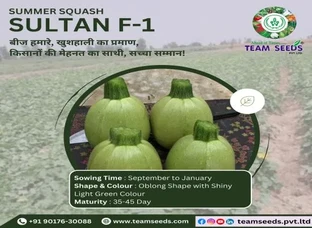 सुल्तान F-1: आपकी मेहनत का सच्चा साथी