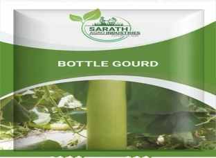 BOTTLE GOURD - Seeds