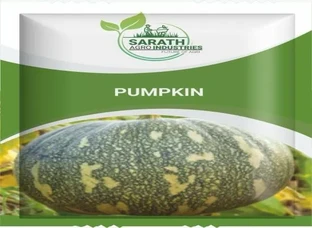 PUMPKIN Seeds Available