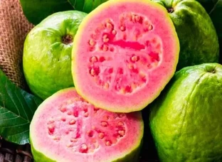 Pink Guava Plant