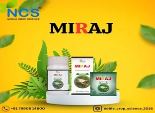 MIRAJ