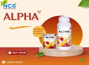 Alpha