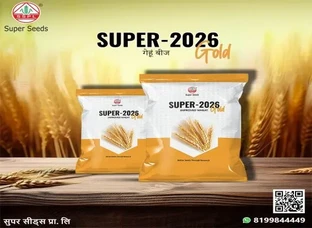 सुपर सीड्स का Super-2026 Gold गेहूं बीज