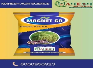 MAGNET GR