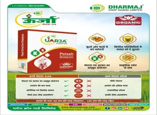 ऊर्जा पोटाश 346 - फसल को दे नए ऊर्जा