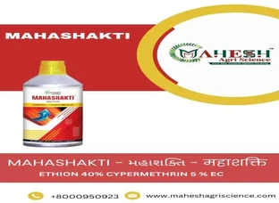 MAHASHAKTI