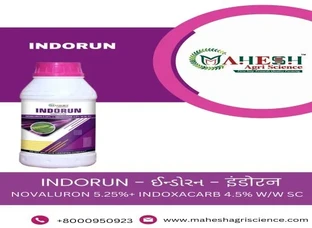 INDORUN