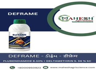 DeFRAME