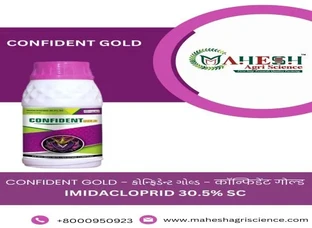 CONFIDENT GOLD
