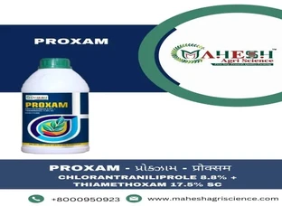 PROXAM