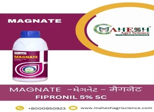 MAGNATE