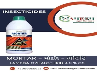 MORTAR