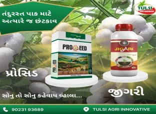 Tulsi Agri