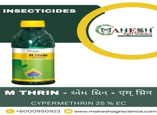 M Thrin