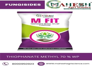M FIT