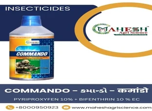 COMMANDO