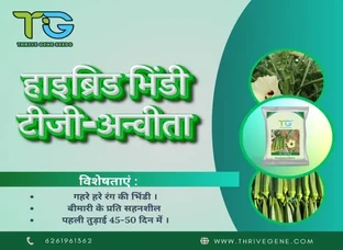 Thrive Gene Seeds
