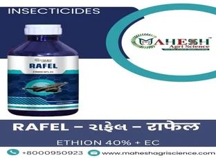 RAFEL