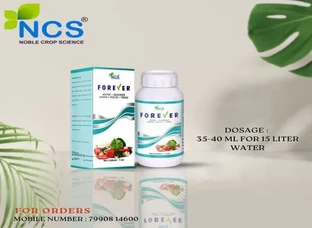 Forever – Your Plants’ Growth Partner
