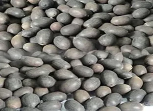 Lotus Seed (Kamal Katta)