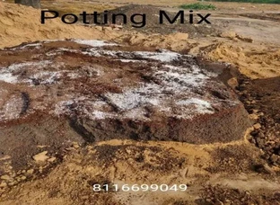 Potting Mix