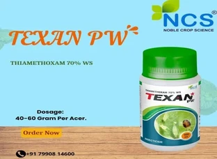 TEXAN PW