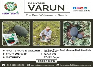 F-1 Hybrid Varun