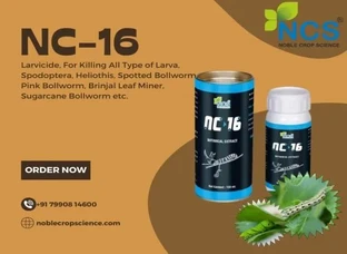 NC-16