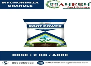 ROOT POWER - ORGANIC BASED PLANT GROWTH GRANULES