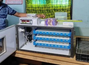 All Types of Egg Incubator / Egg Hatching Machine's
