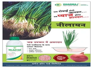 NILAAYAN - Thiamethoxam 30% FS