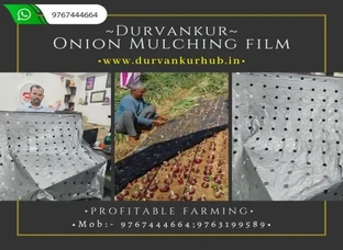 Onion Mulching Film