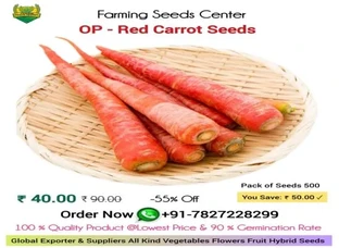 OP Organic Red Carrot Seeds