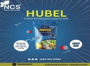 HUBEL - SUPER POTASSIUM HUMATE 95%