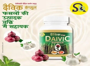 DAIVIC CAPSULE