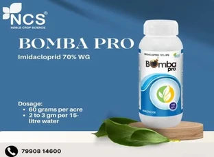 BOMBA PRO