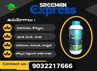 SRECMAN Express