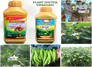 Agriculture science - Plant Growth