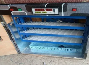 Hatching Machine Available