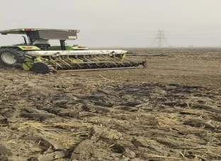 Super seeder sell 7 futta