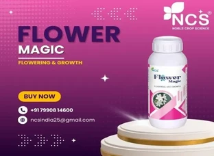 FLOWER MAGIC FLOWERING & GROWTH