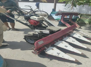 Kanak Cutter
