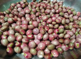Toor Daal