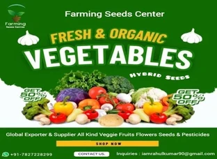 Hybrid Seed