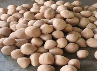 Dry coconut