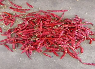 Dry Red Chilly