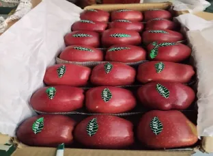 Apples in sale