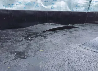 Punjab ki best  trolley