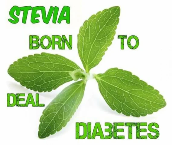 Stevia leaves