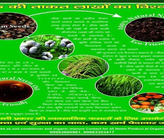 Neem Oil